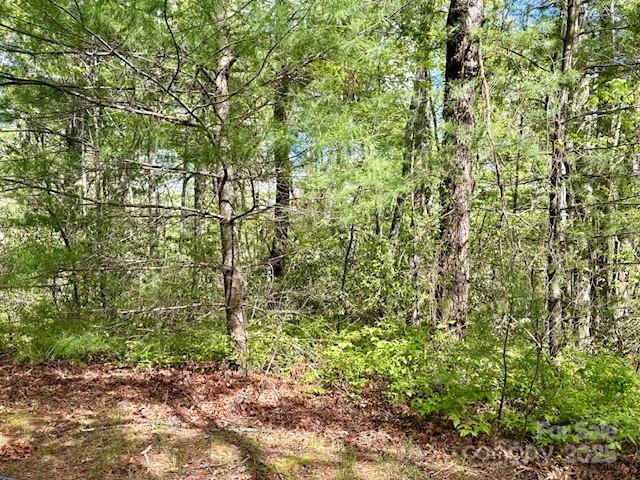 Sherwood Forest - Land