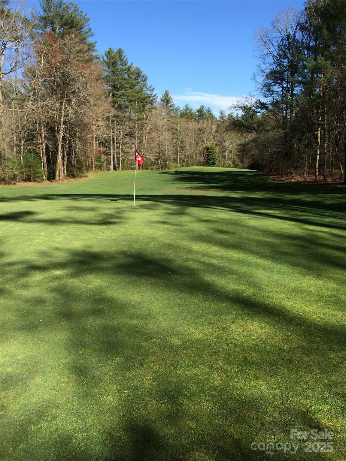 Sherwood Forest - Land