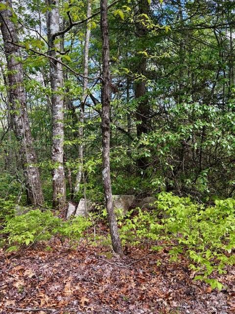 Sherwood Forest - Land