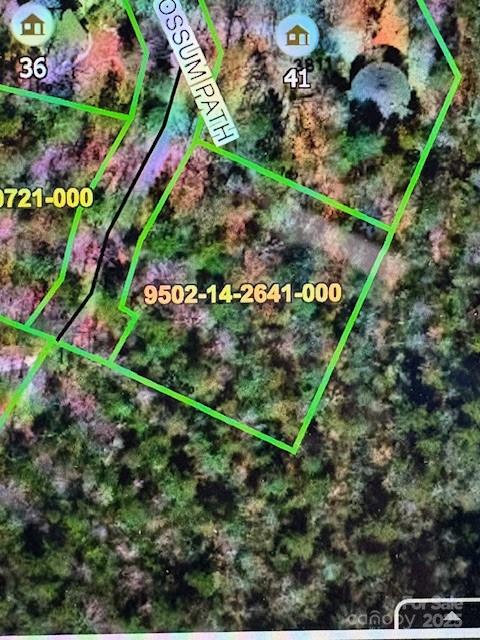 Sherwood Forest - Land