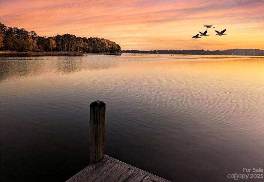 Amazing view from this charming, lakefront cottage! Deep, deep water with heartwarming ambience and charm. This fully furnished home has extremely easy access to the waters-edge with a 2 slip boathouse (one for boats and another for personal watercraft). Nice open sundeck in the middle for sunbathing or fishing. Large lot with mature yard and shade trees. This cozy two bedroom one and bath with partial basement with half bath has so much to offer. The screened in porch overlooking a large open view is sure to make you smile! This is a prime location with several restaurants and a marina very close by.