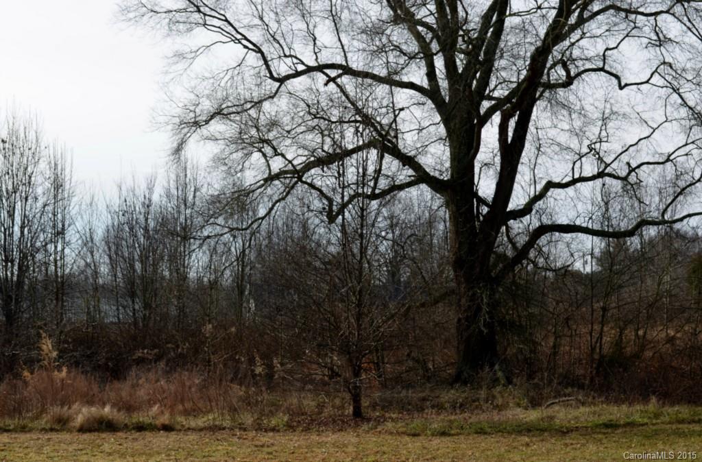 Green Meadows - Land