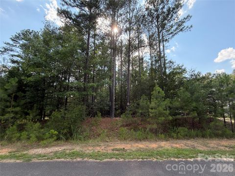 Photo of 9212 Rustic Creek Trail, Waxhaw, NC 28173 (MLS # 4402260)