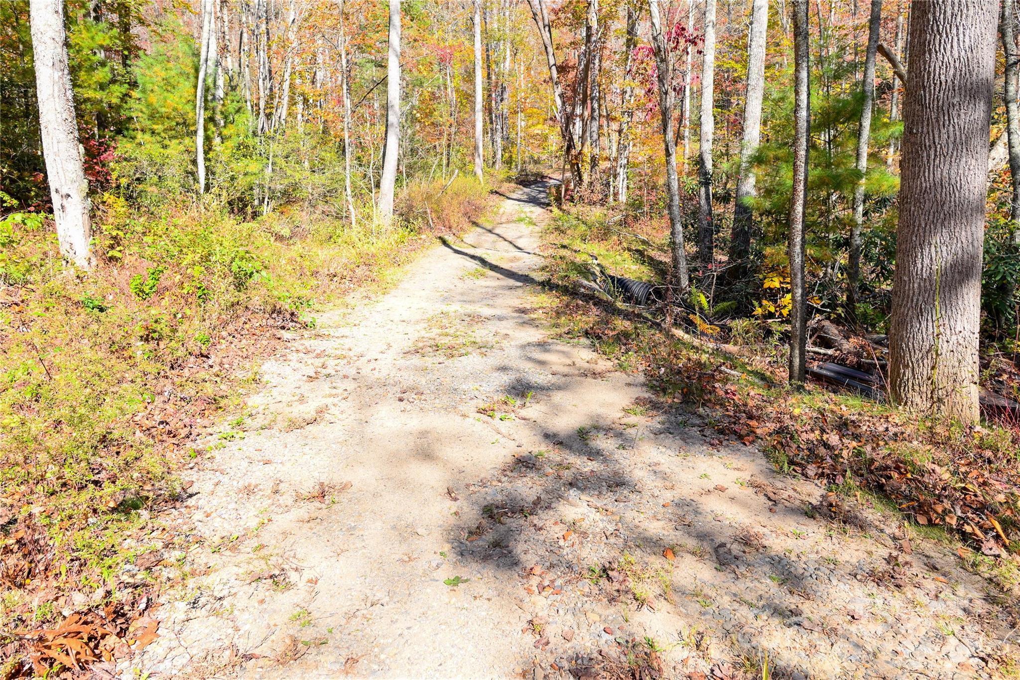 99999 Long Branch Road