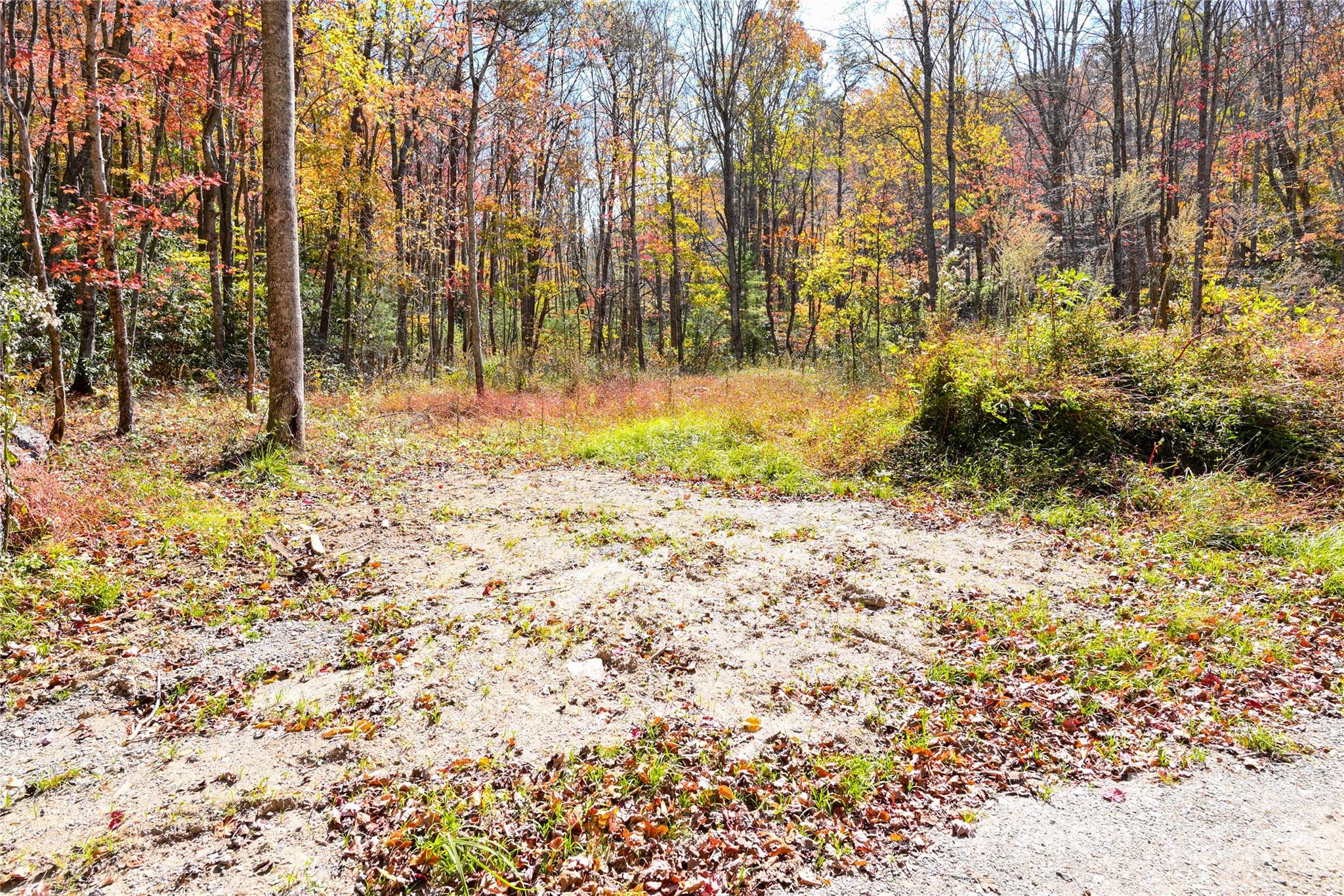 99999 Long Branch Road