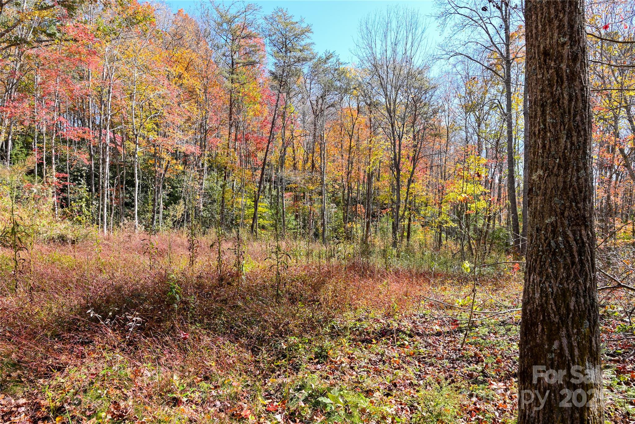 99999 Long Branch Road