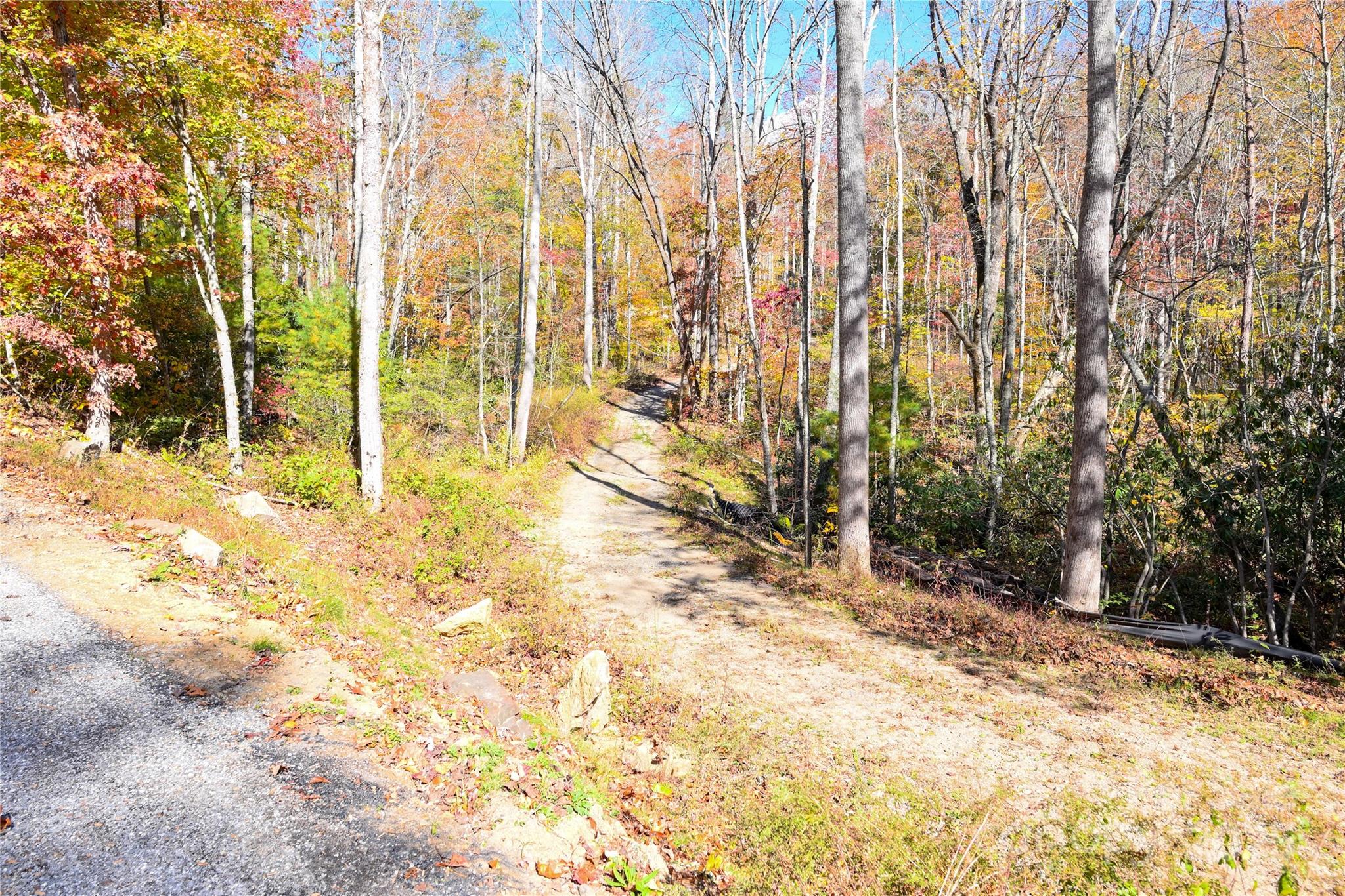 99999 Long Branch Road