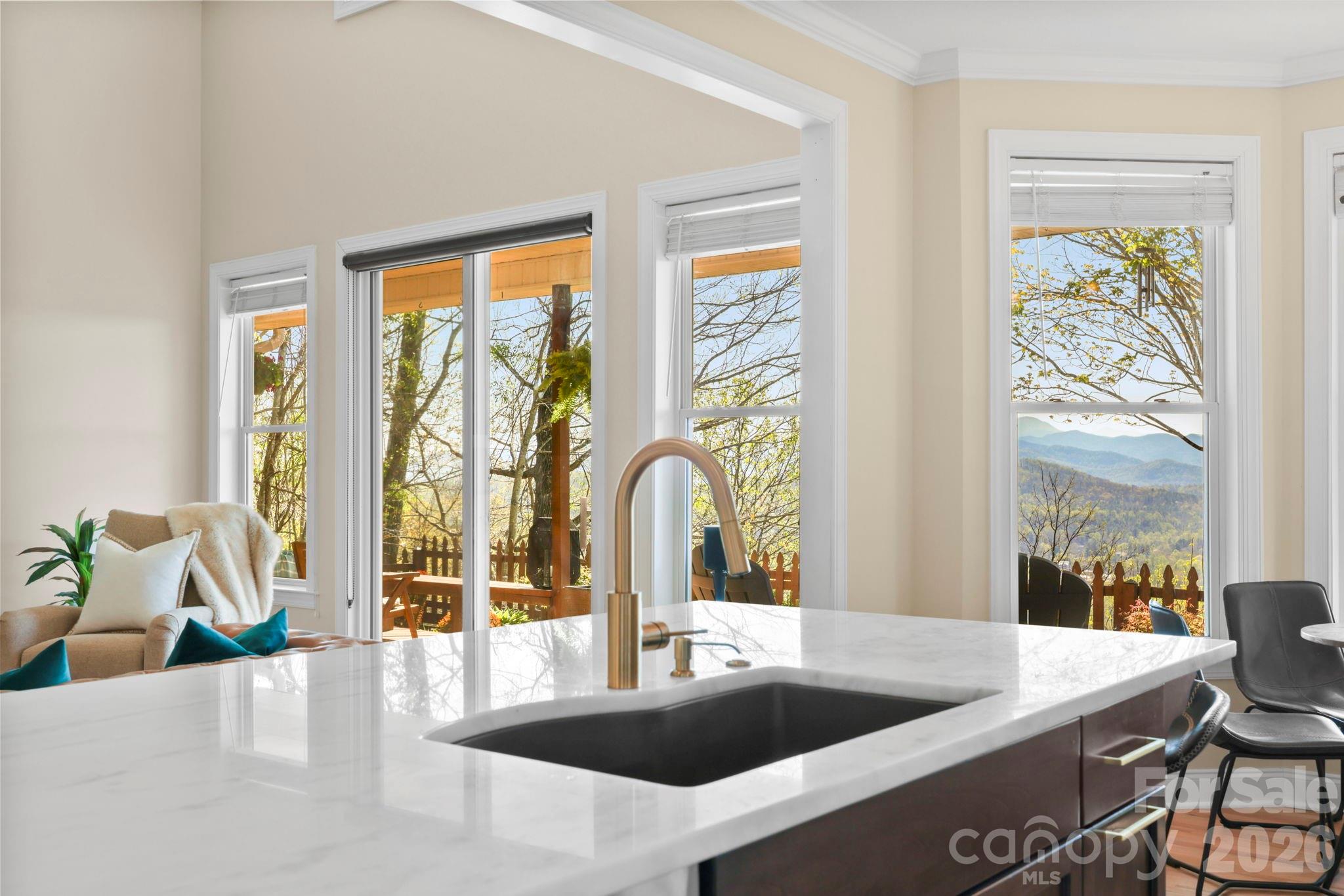 The Views of Asheville - Residential