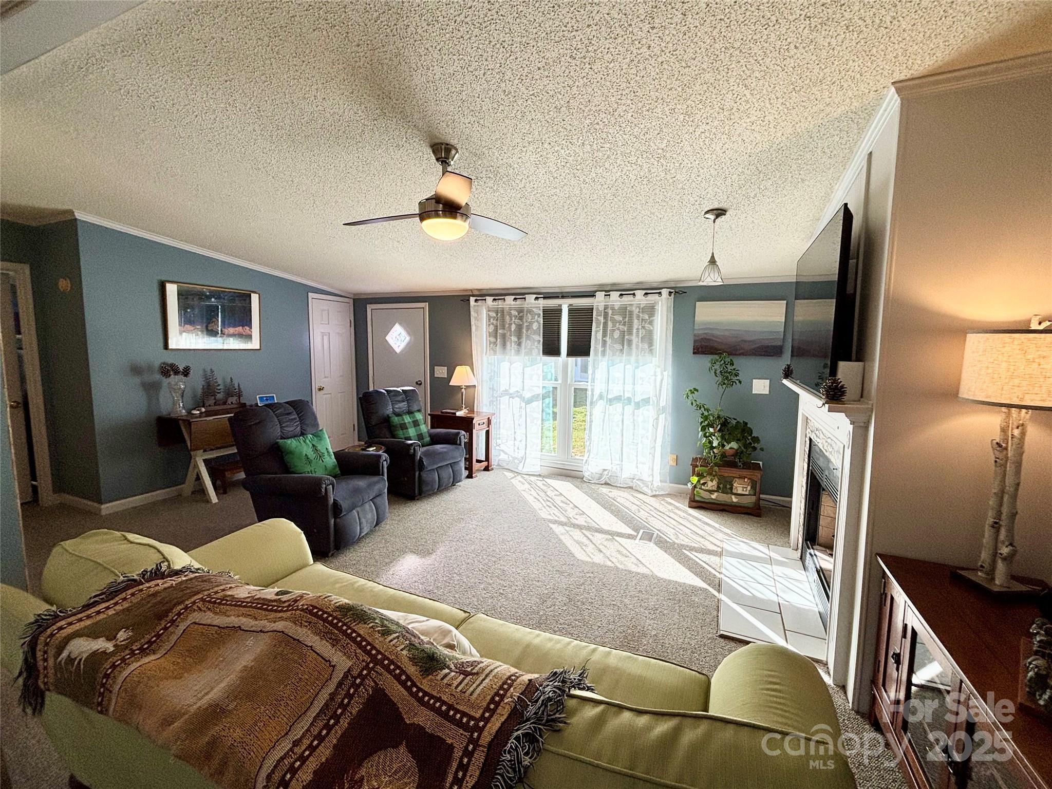 209 Red Birch Court