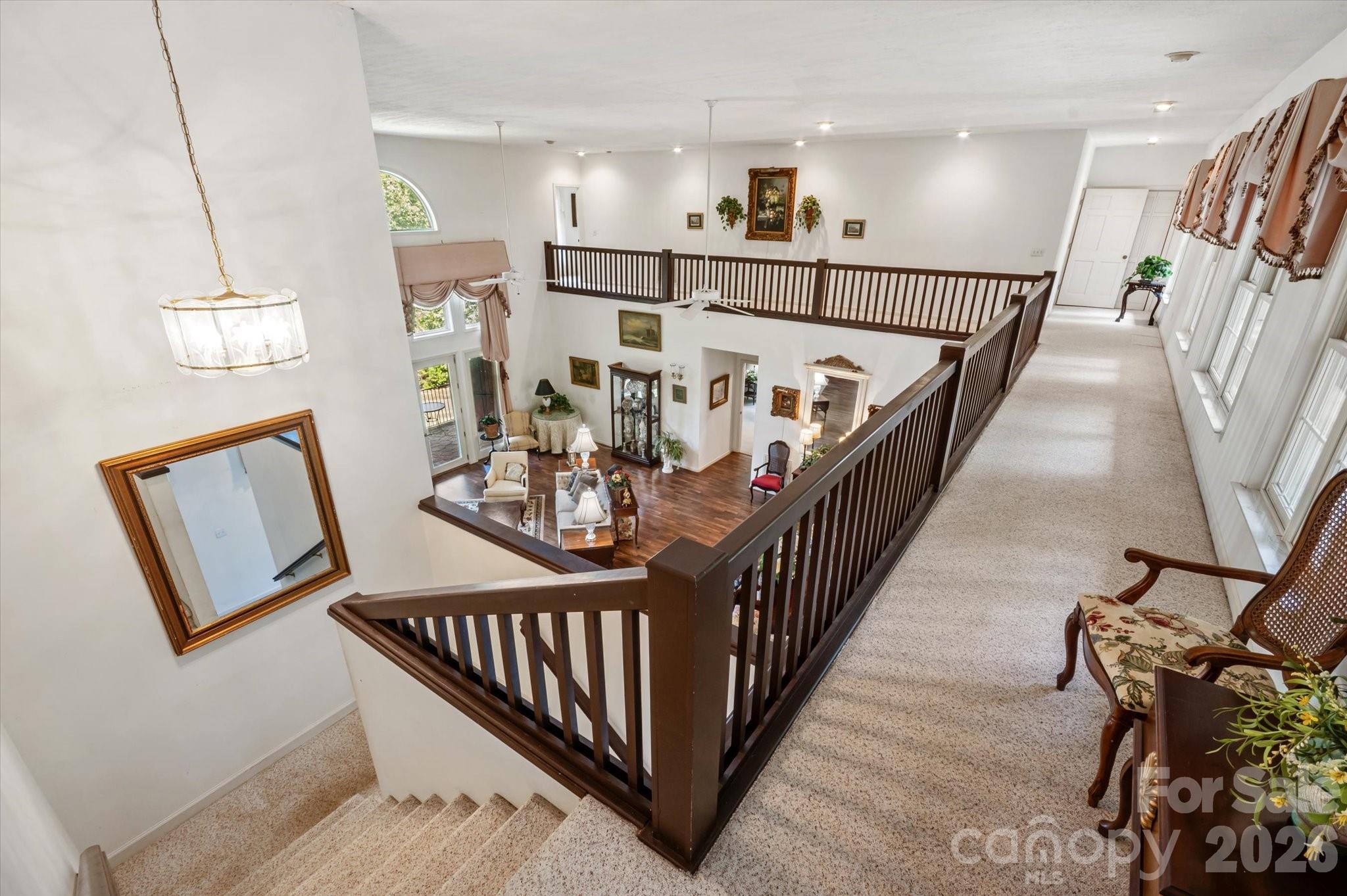 Red Fox - Residential