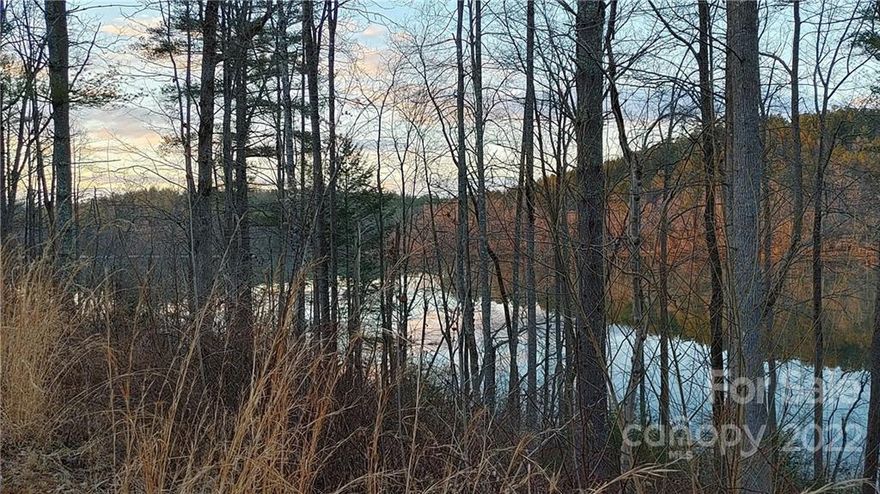 Lake Rhodhiss Estates Lot 91 – (Gated Community. Plan ahead for access.)  This walkout basement lot has a beautifully walkable shoreline with 173 feet of length. Walk it to believe it! You’ll have gorgeous views of the distant mountains, sunsets, and the main channel. If you desire peace and serenity, this is where you want to be!