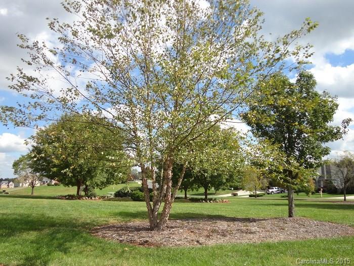 Larkin Golf Club - Residential Lease