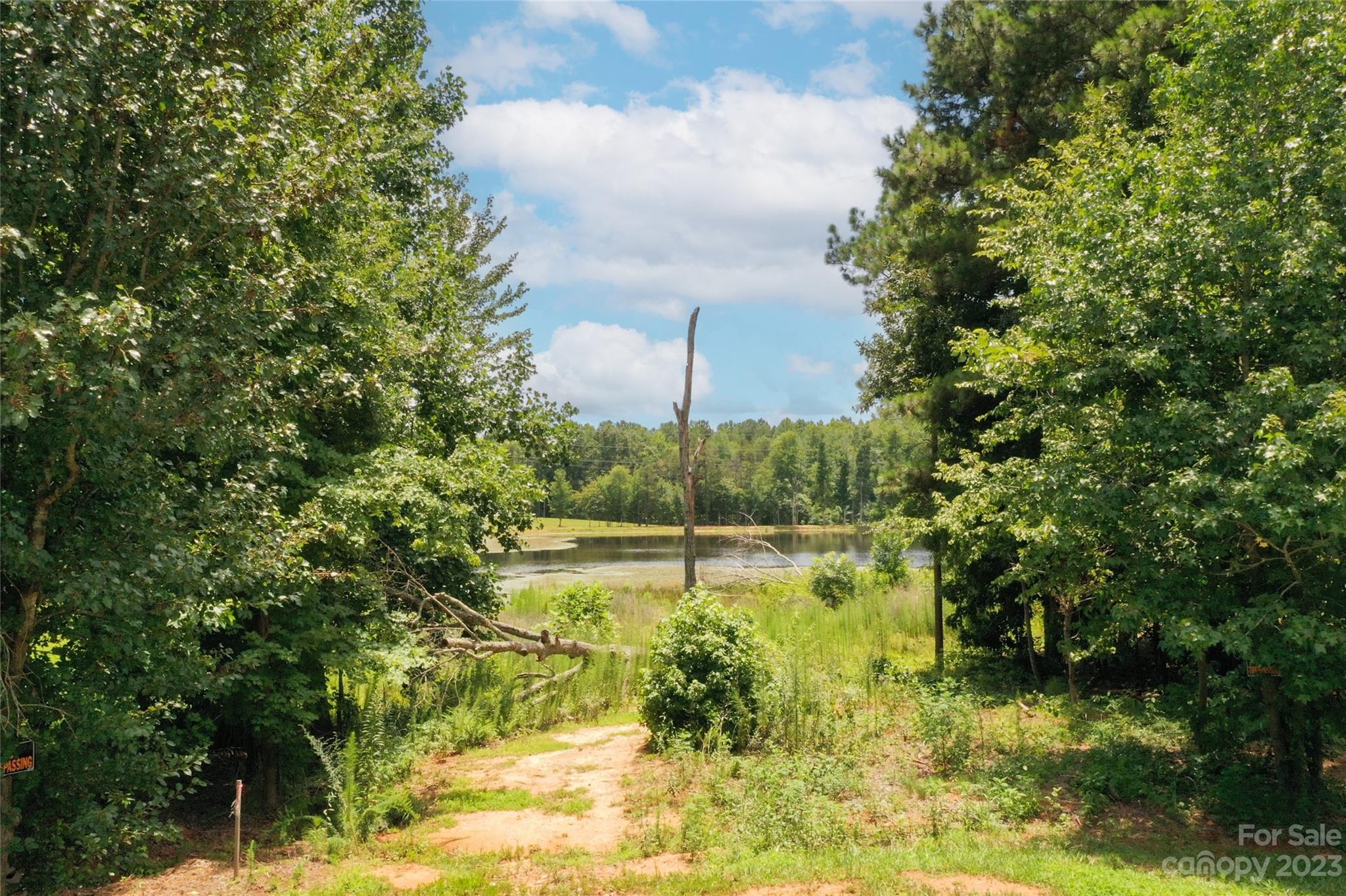 Henrys Orchard - Land