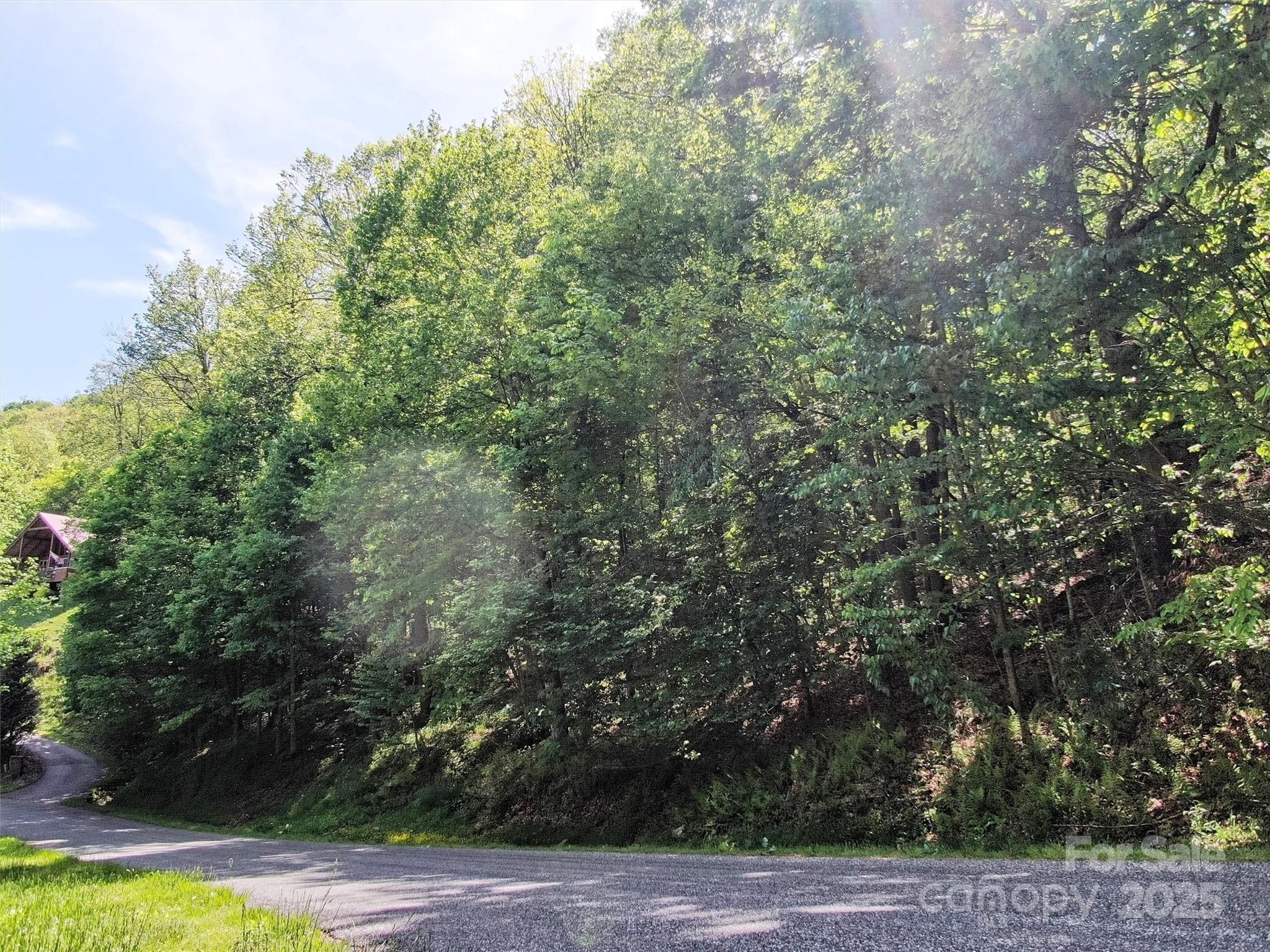 Blue Mountain - Land