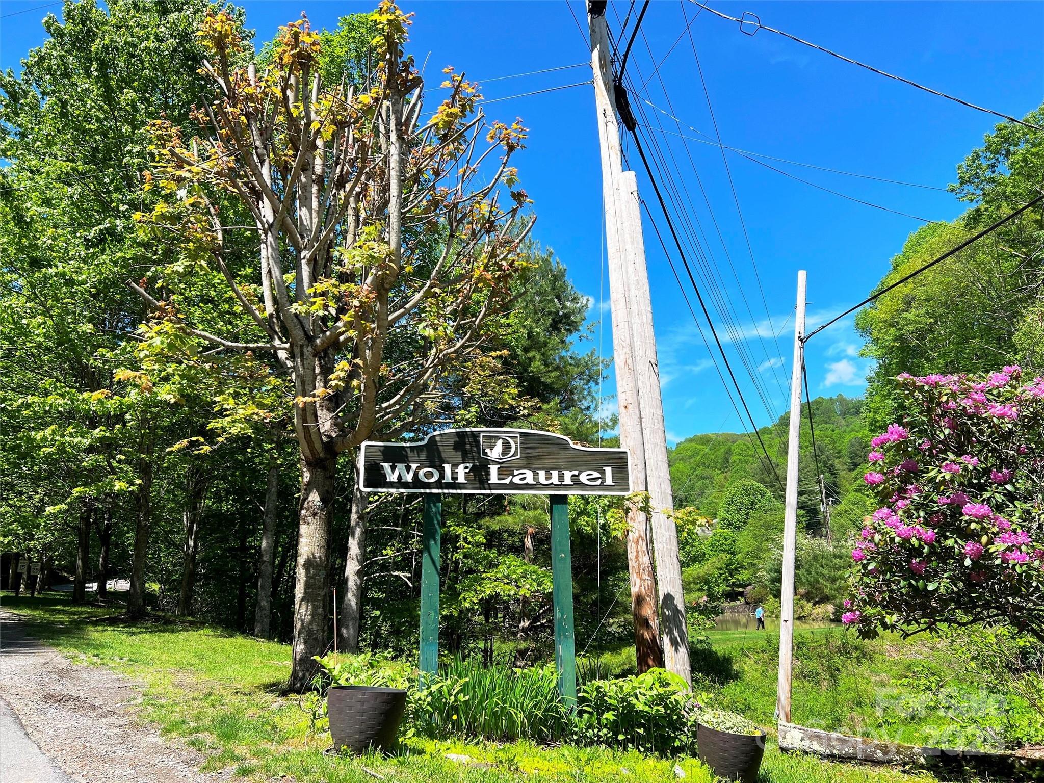 TBD Goldenleaf Road 74