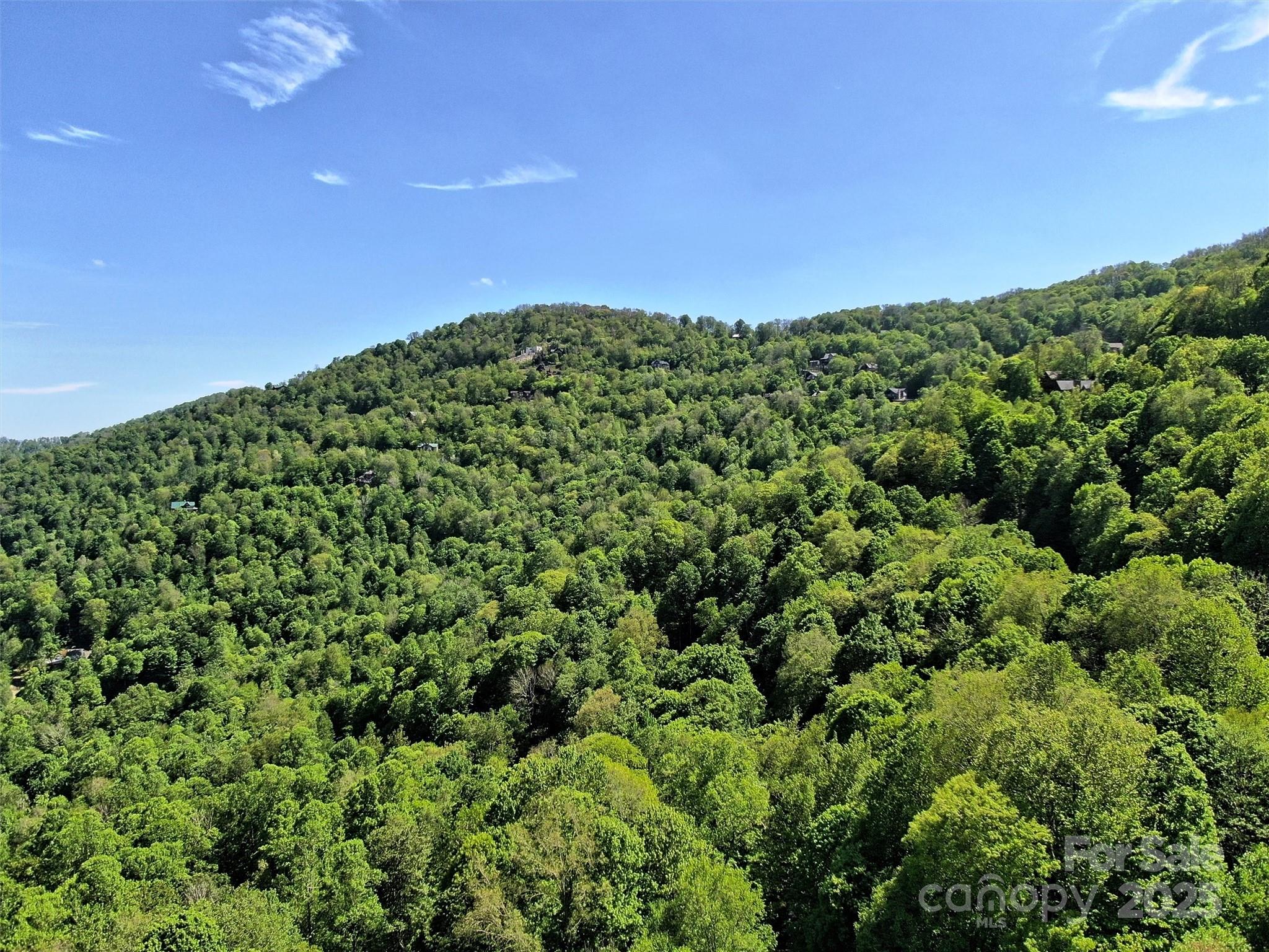 Blue Mountain - Land