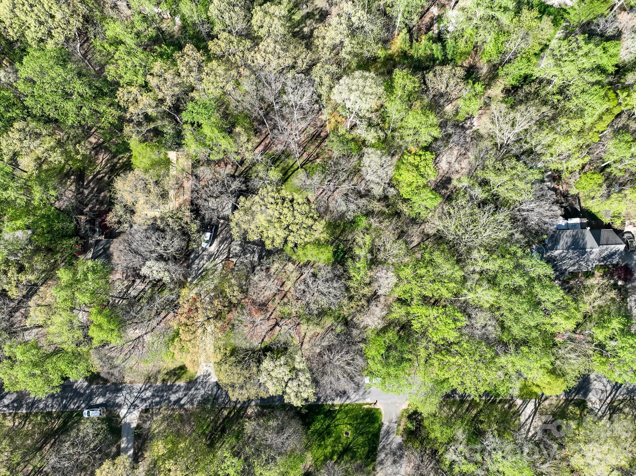 Woodforest - Residential