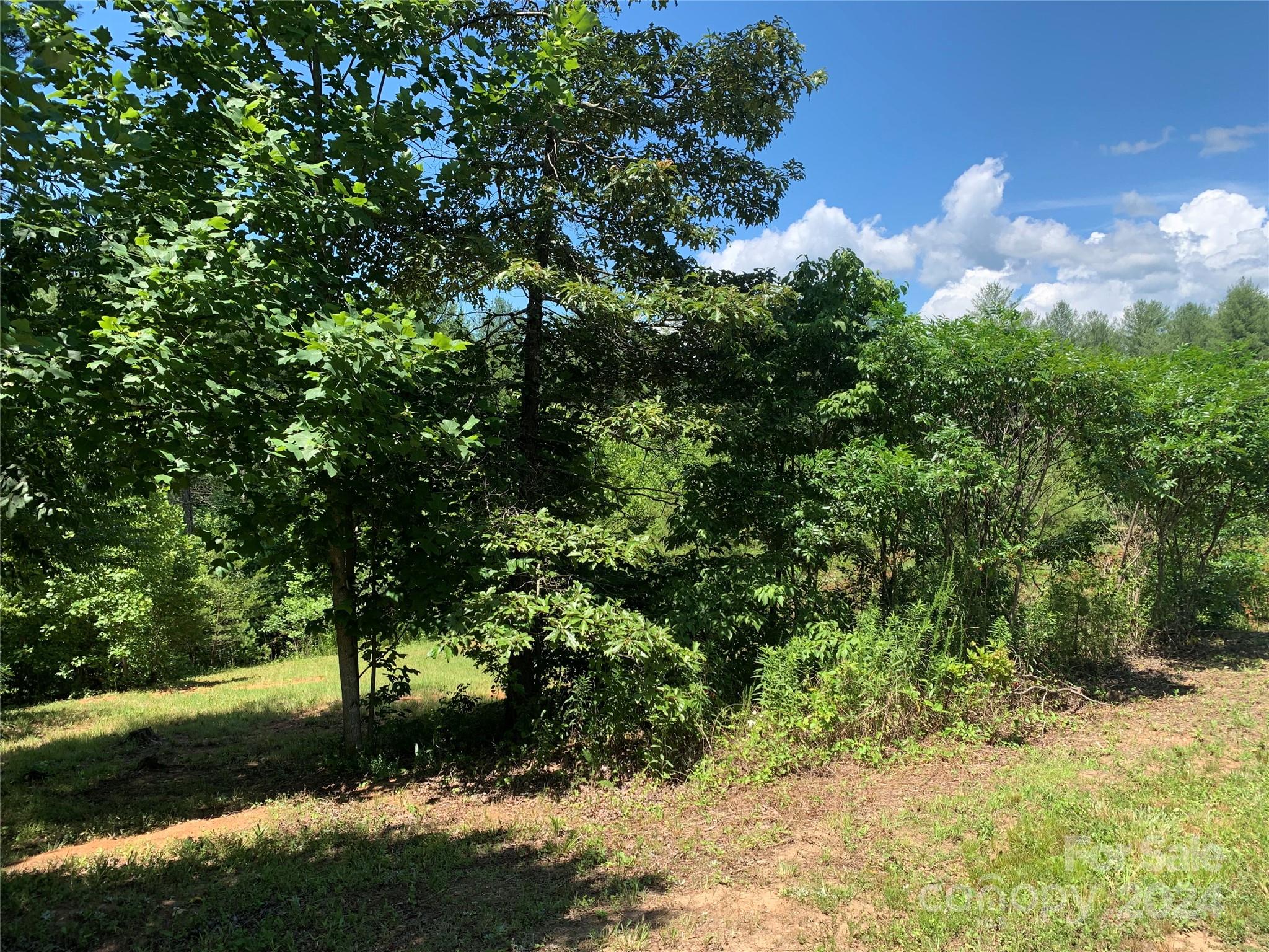 The Coves Mountain River Club - Land