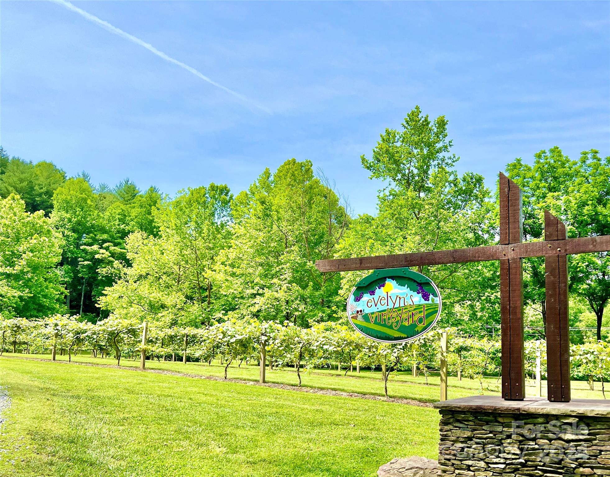 The Coves Mountain River Club - Land