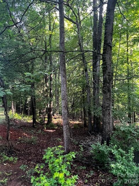 8112 Bayview Lane 32