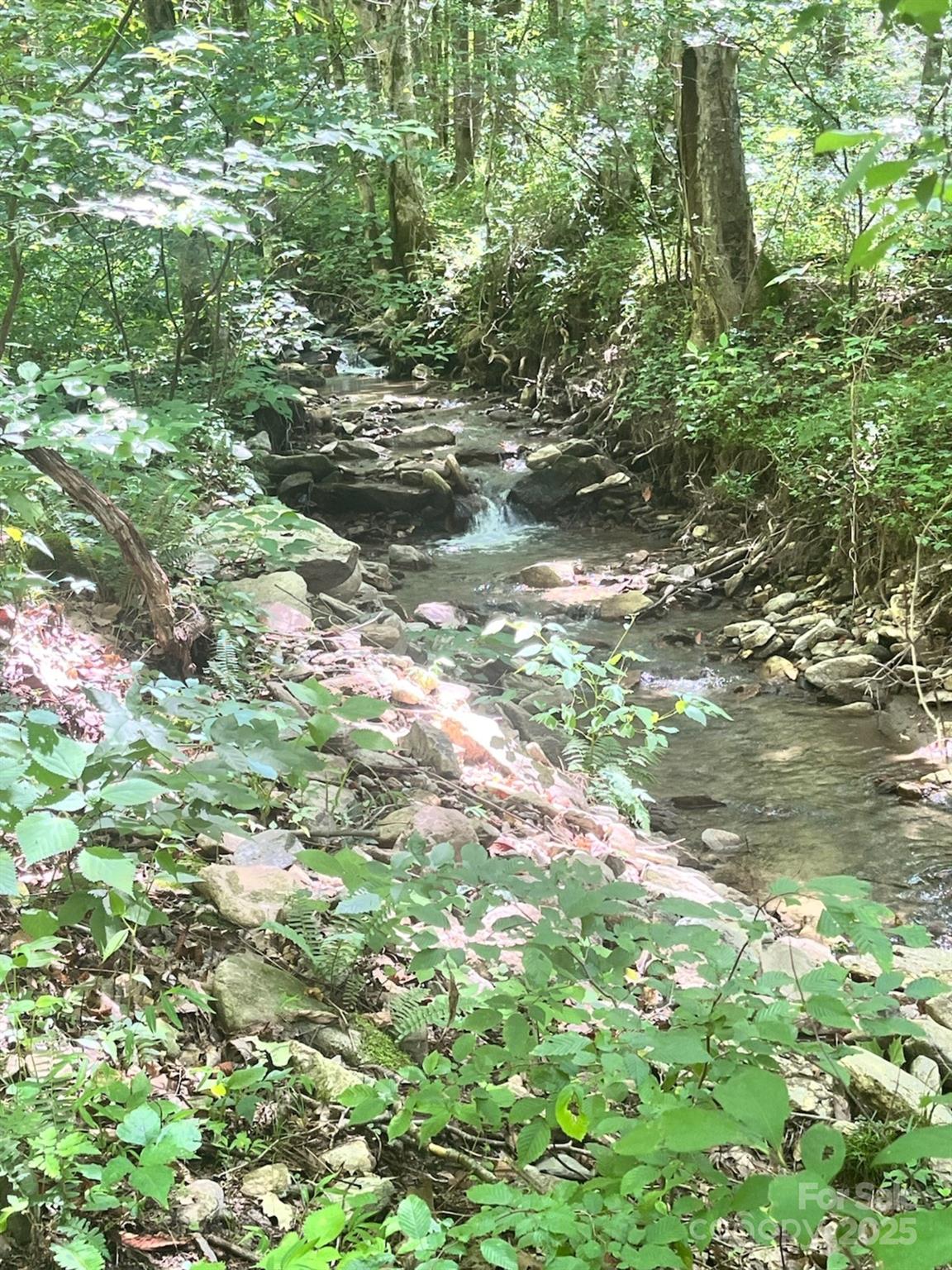 287 Indian Camp Creek Road