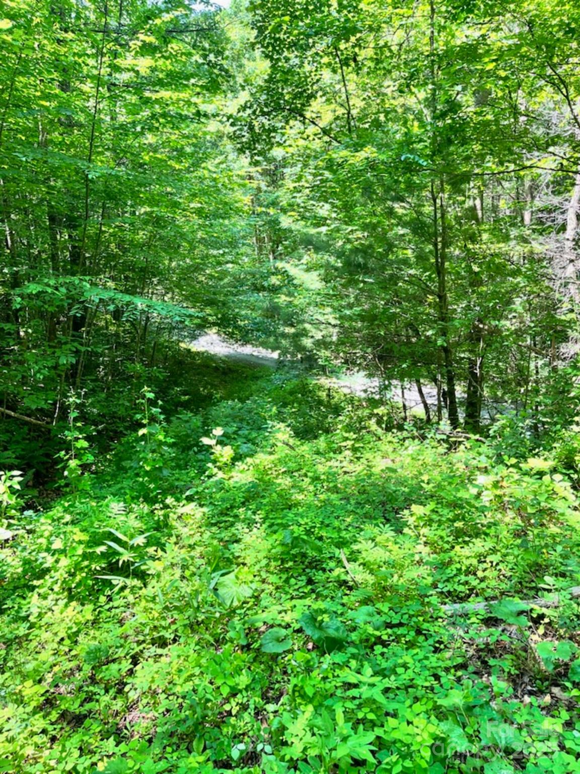 287 Indian Camp Creek Road