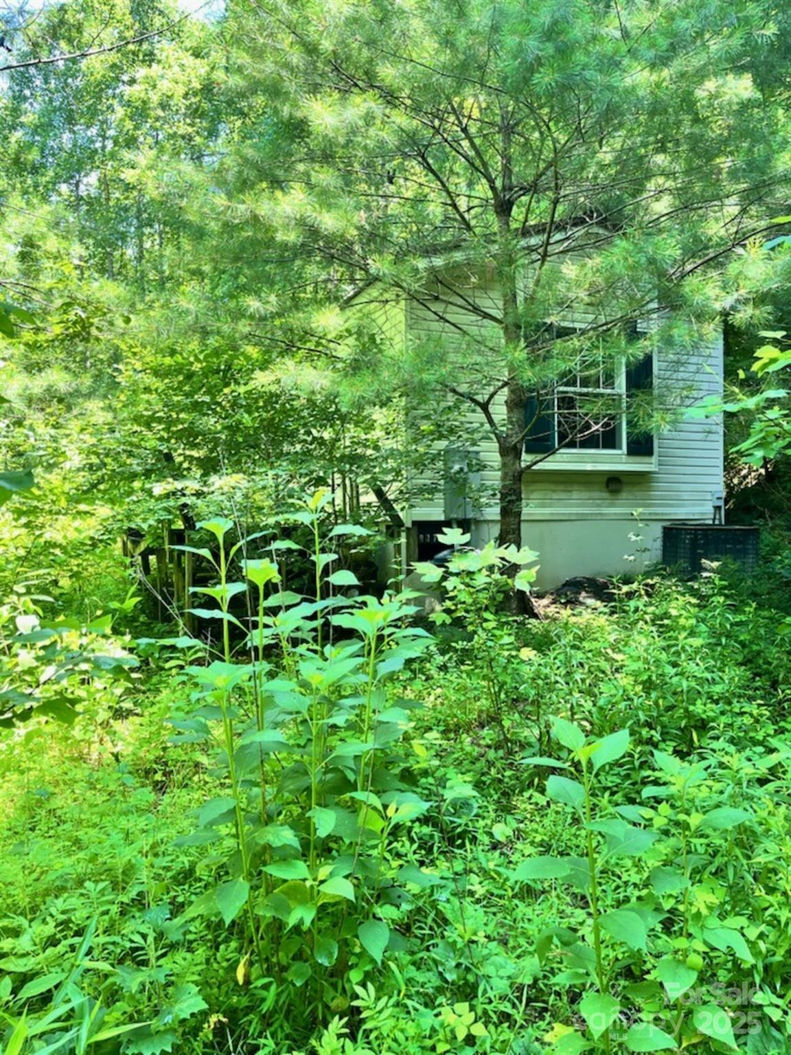 287 Indian Camp Creek Road