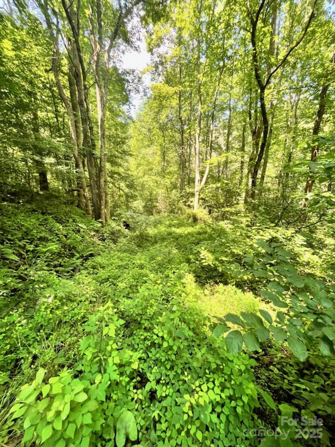 287 Indian Camp Creek Road