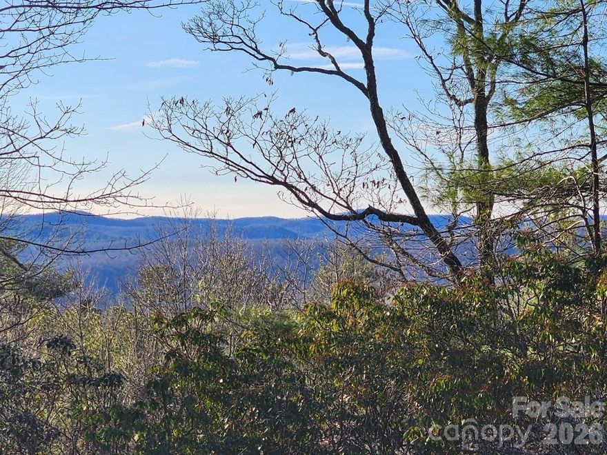 This is more than a parcel of land—it is the foundation for a thoughtfully designed mountain home. Rarely do orientation, elevation, and topography align as seamlessly as they do here. The homesites offers both southern and western exposure, providing abundant year-round natural light and dramatic sunset views—an exceptional and highly sought-after combination in Western North Carolina with convenience to both Brevard and Hendersonville. 

The property sits at a natural elevation, allowing a well-designed homes—particularly with intentional first-floor height placement—to capture sweeping, unobstructed long-range mountain views. A well is in place. Significant tree removal has already been completed to showcase the land’s full potential, reducing future development time and expense.

Overlooking DuPont State Forest, this property is located in a premier outdoor destination with convenient access to hiking, waterfalls, and recreation, while still offering privacy and tranquility. The land’s gently sloping and usable topography supports flexible home design, outdoor living spaces, decks, patios, spa areas, and thoughtful septic and infrastructure placement. No power lines are visible, preserving the natural landscape and views.


The seller will pay for the full property survey and welcomes buyer input to help optimize layout and future homesite planning. This offering presents a rare opportunity to create a high-quality, architecturally meaningful home in a setting defined by light, elevation, privacy, and long-range enjoyment.