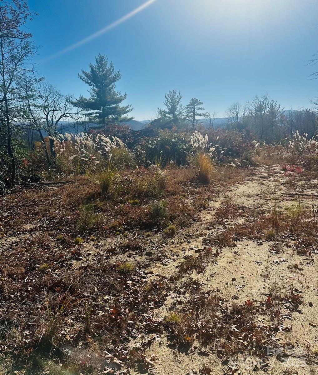 9999 Bulling Creek Road