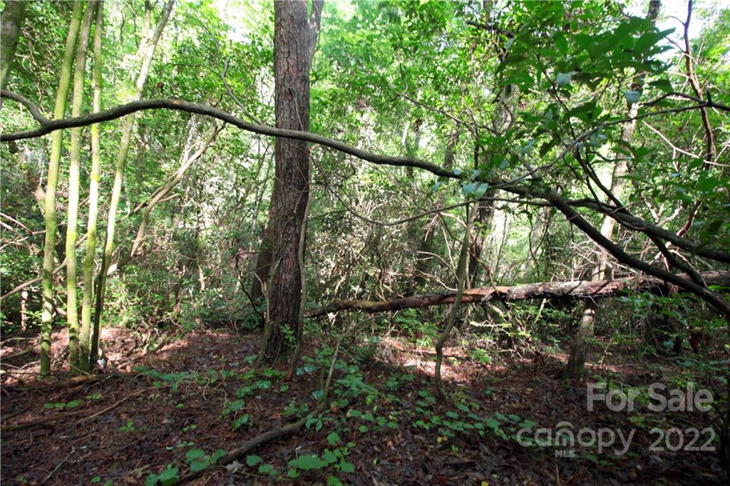 Lot 19 Gastons Bee Gum Road 19