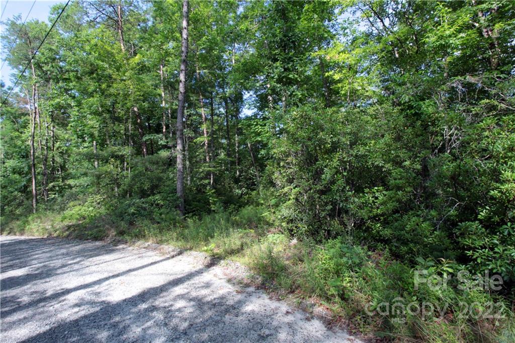 Round Mountain - Land