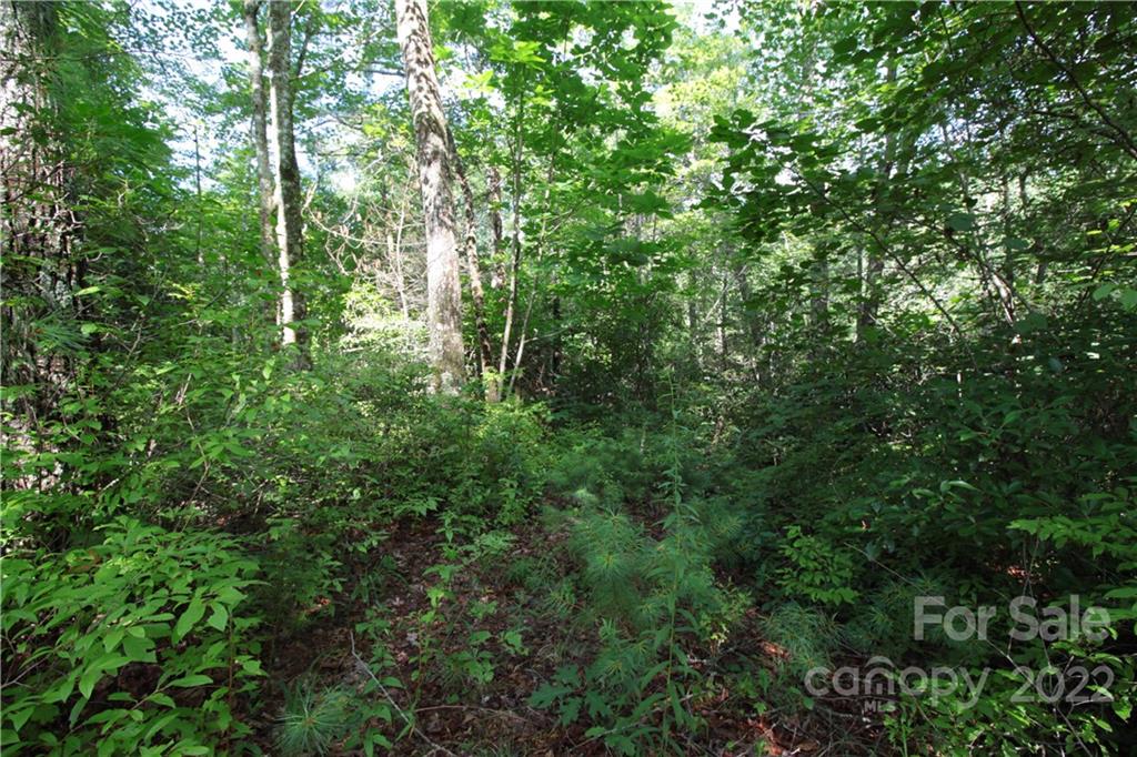 Round Mountain - Land