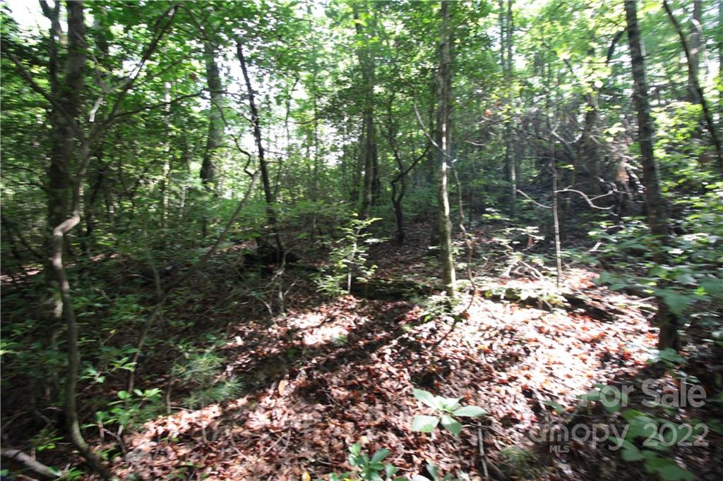 Lot 19 Gastons Bee Gum Road 19