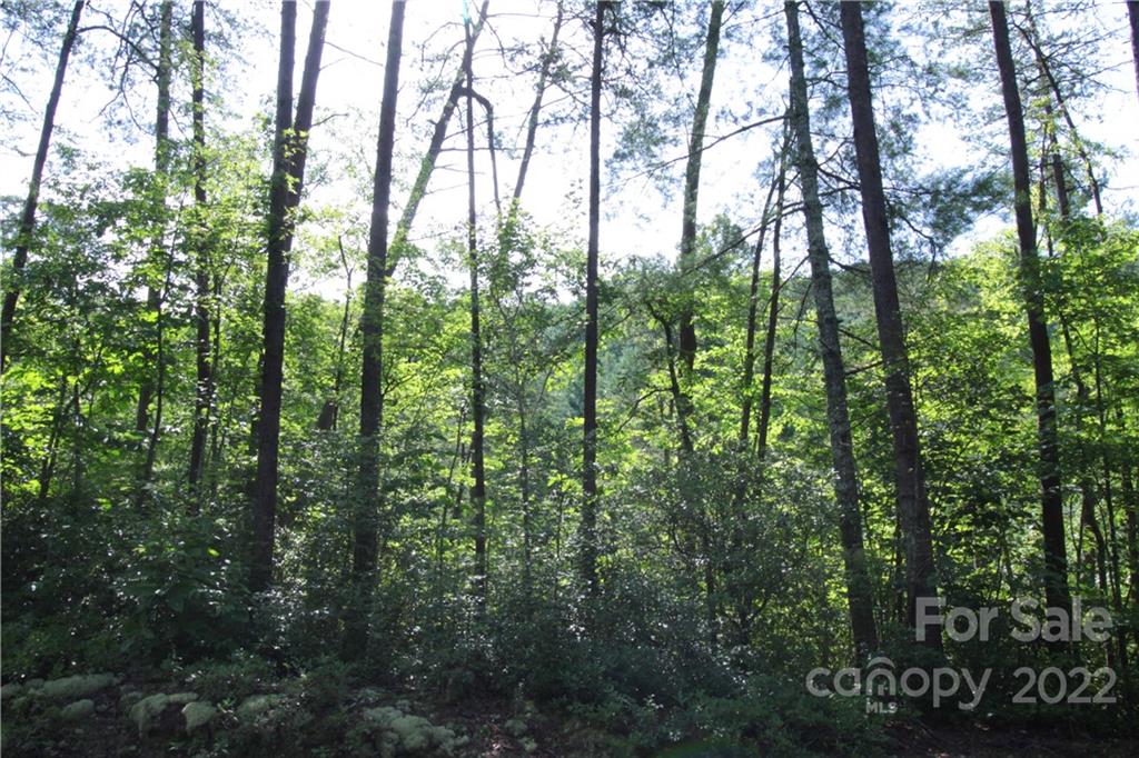 Round Mountain - Land