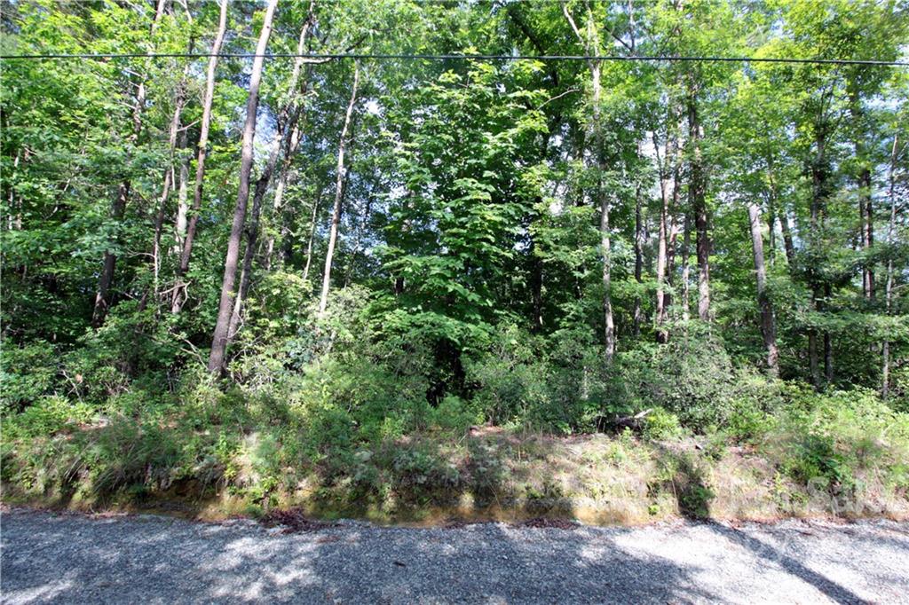 Round Mountain - Land