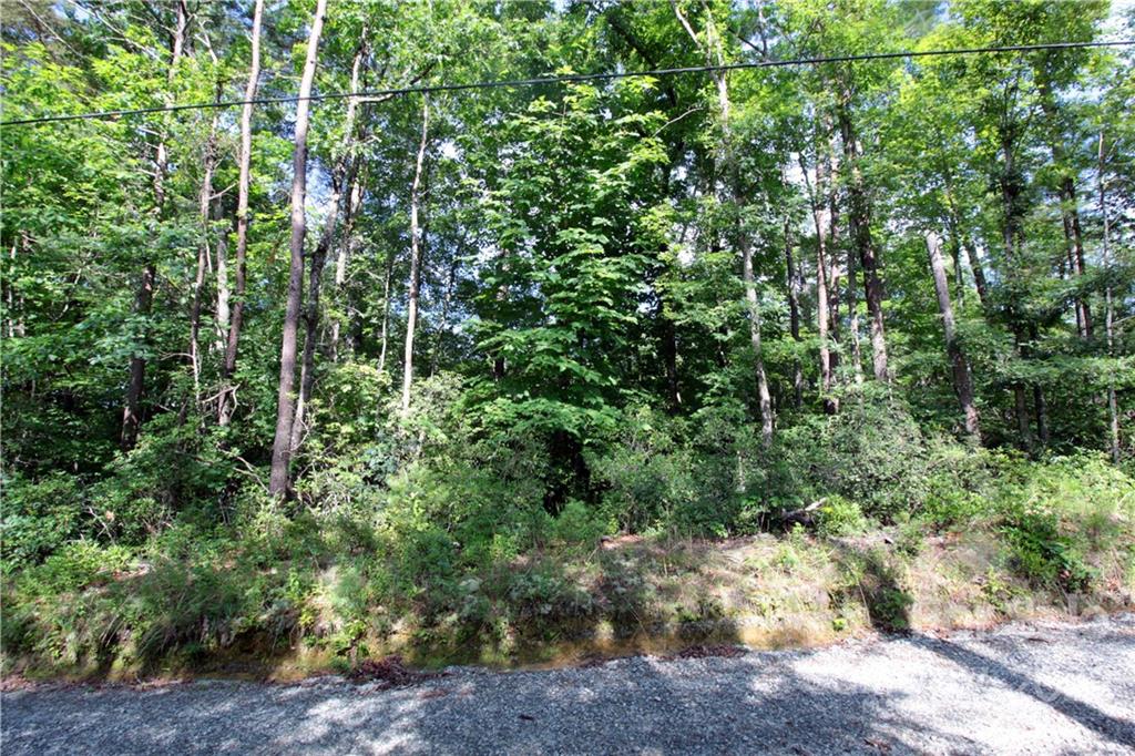 Round Mountain - Land