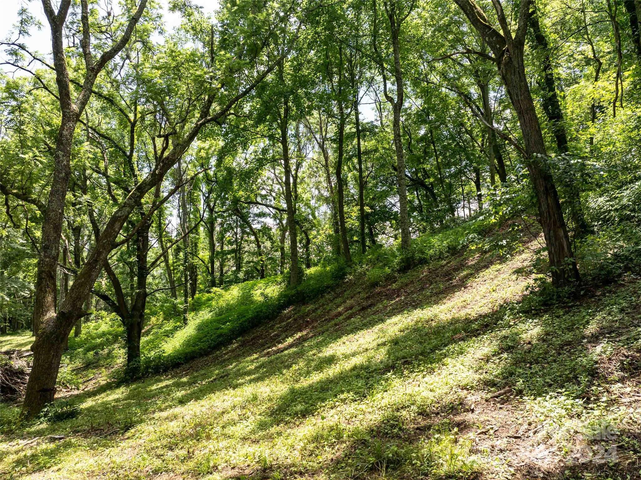 00 Hardy Branch Trail