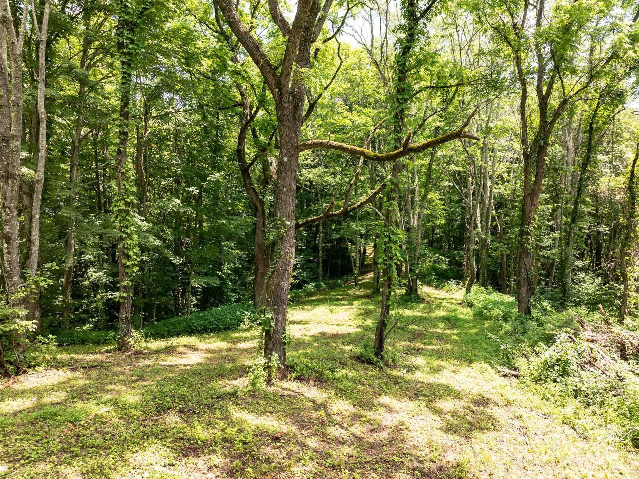 00 Hardy Branch Trail