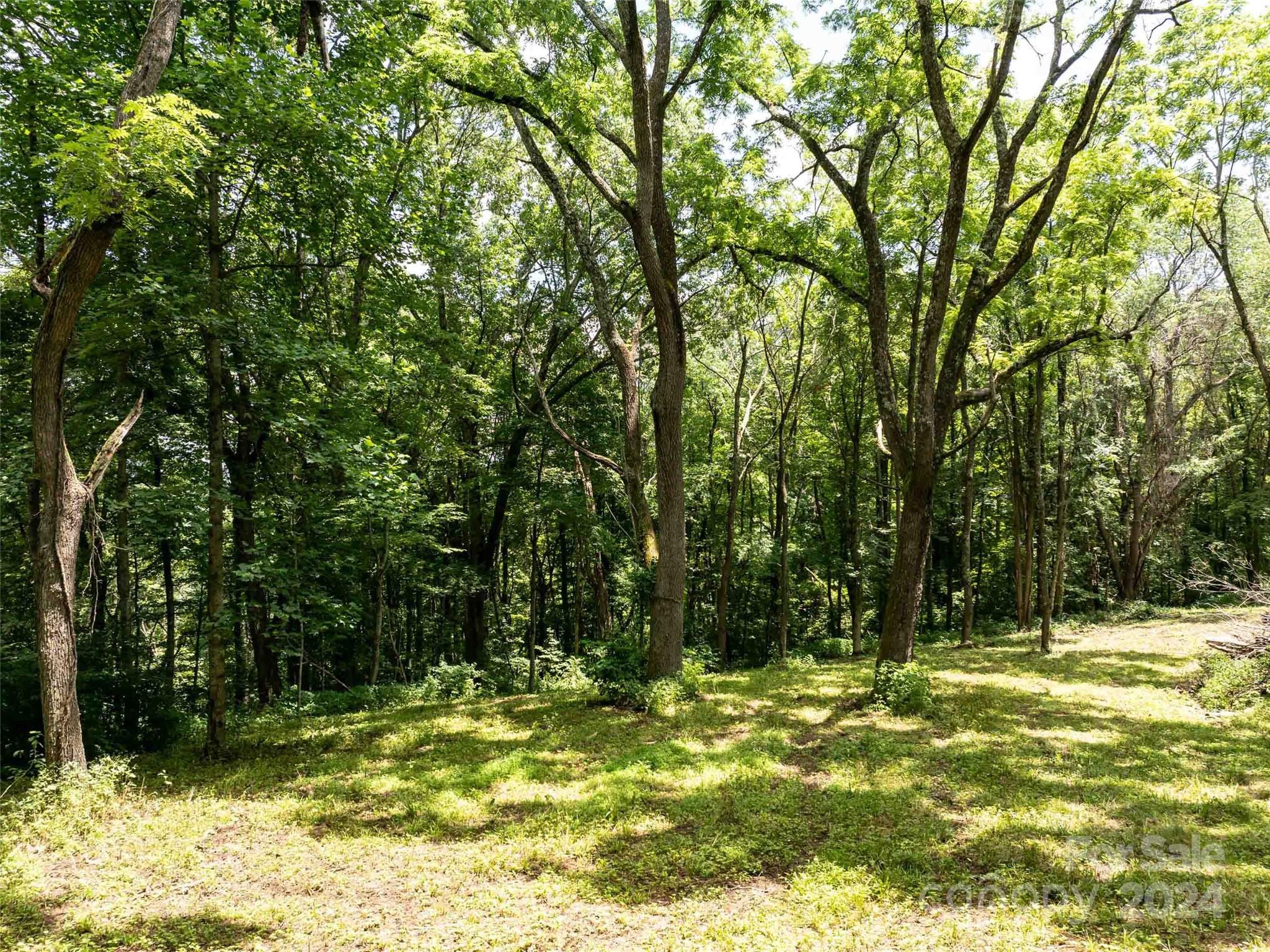 00 Hardy Branch Trail