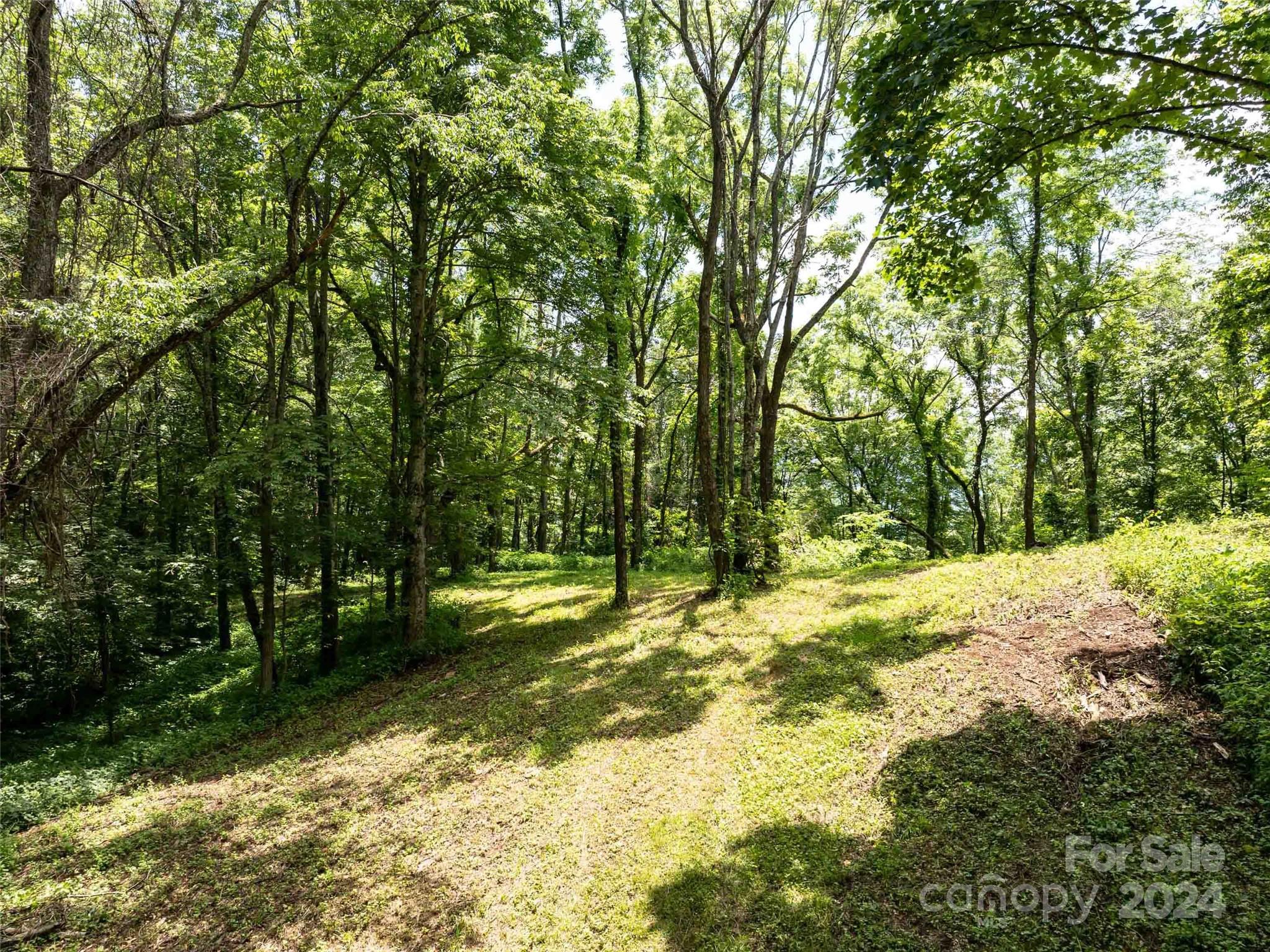00 Hardy Branch Trail