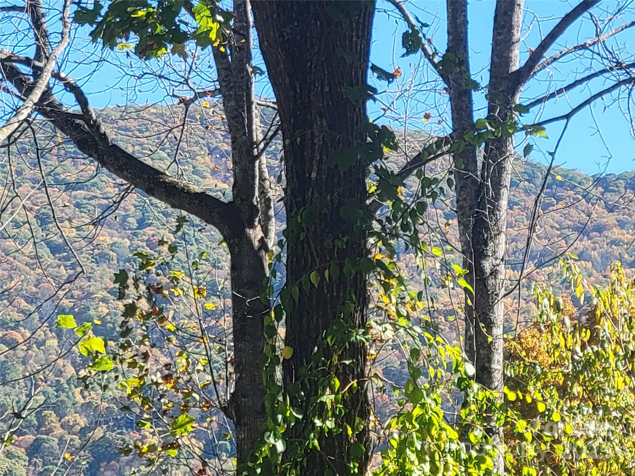 Quail Ridge - Residential