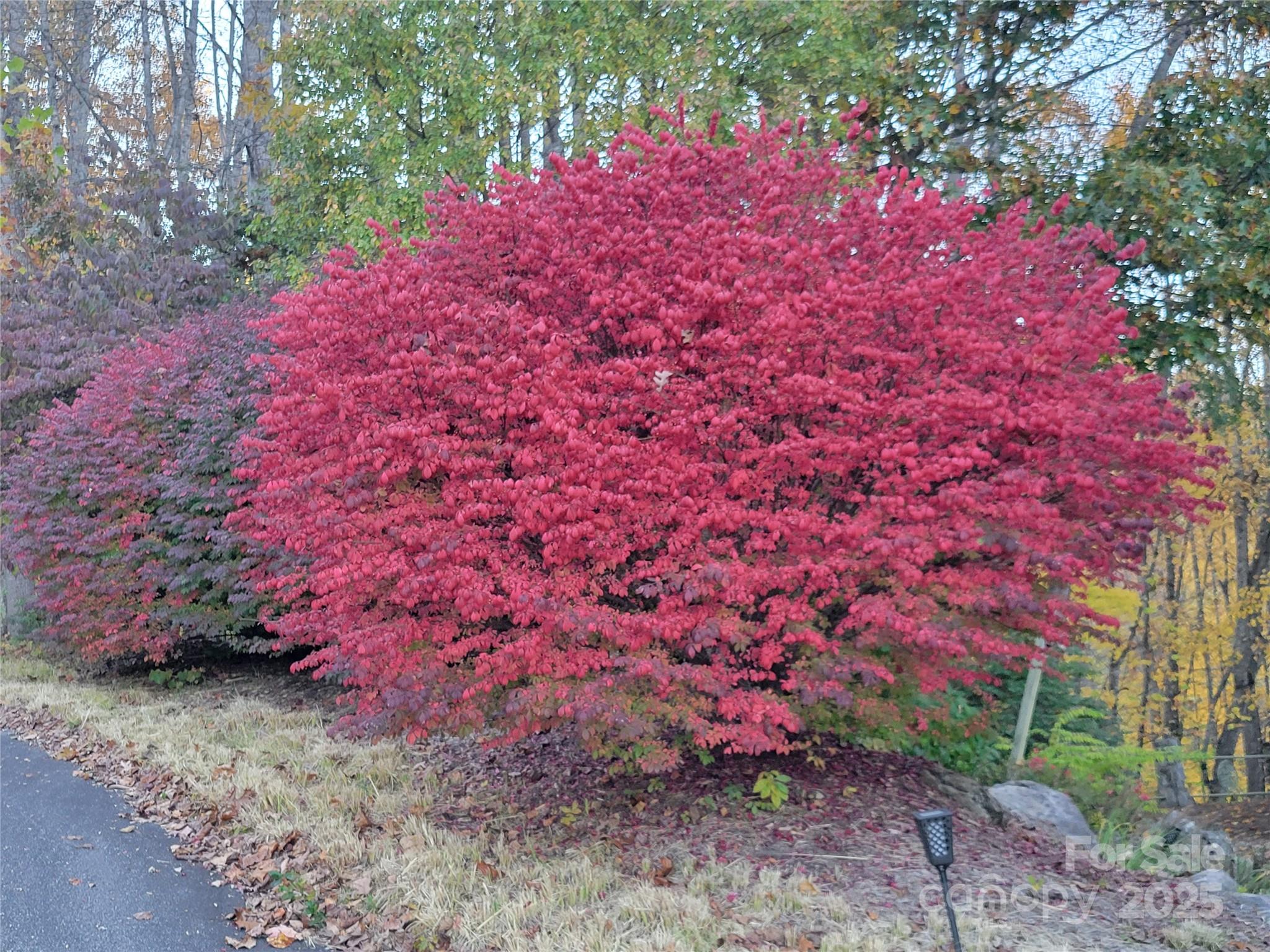 Quail Ridge - Residential