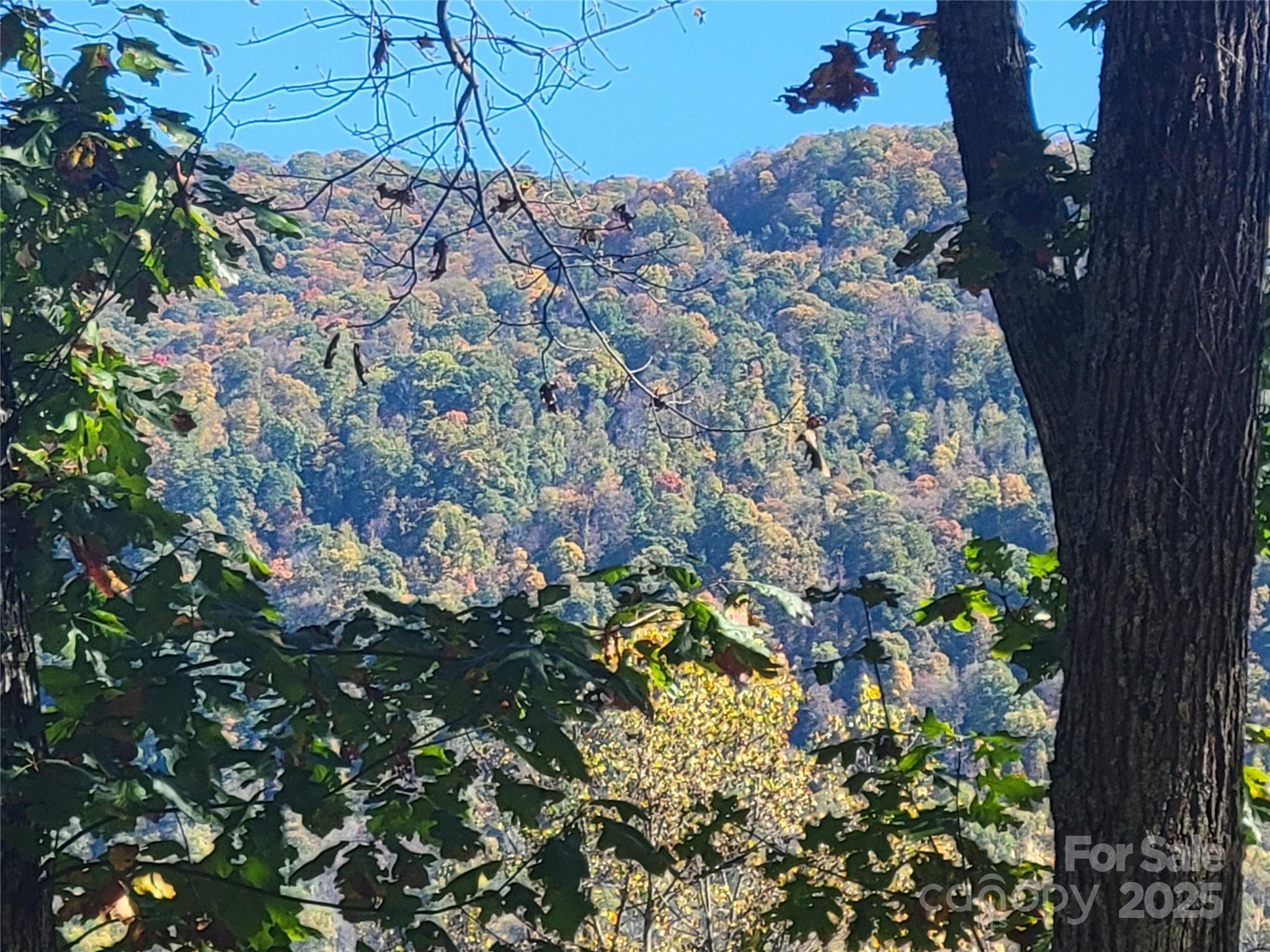 Quail Ridge - Residential