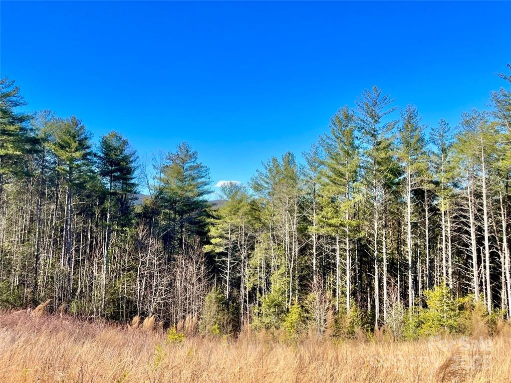 The Coves Mountain River Club - Land