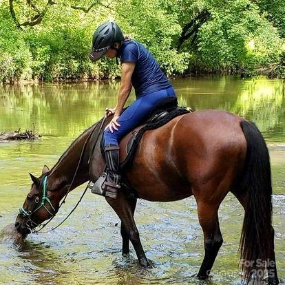 The Coves Mountain River Club - Land