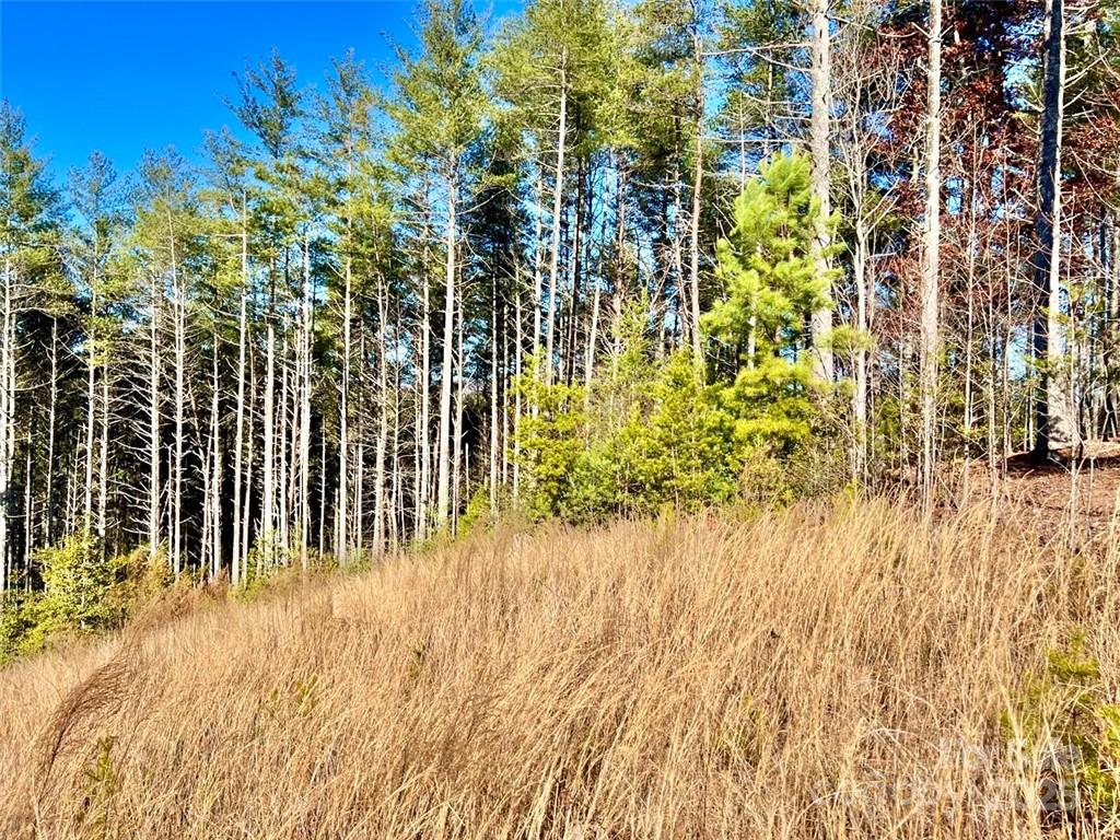 The Coves Mountain River Club - Land