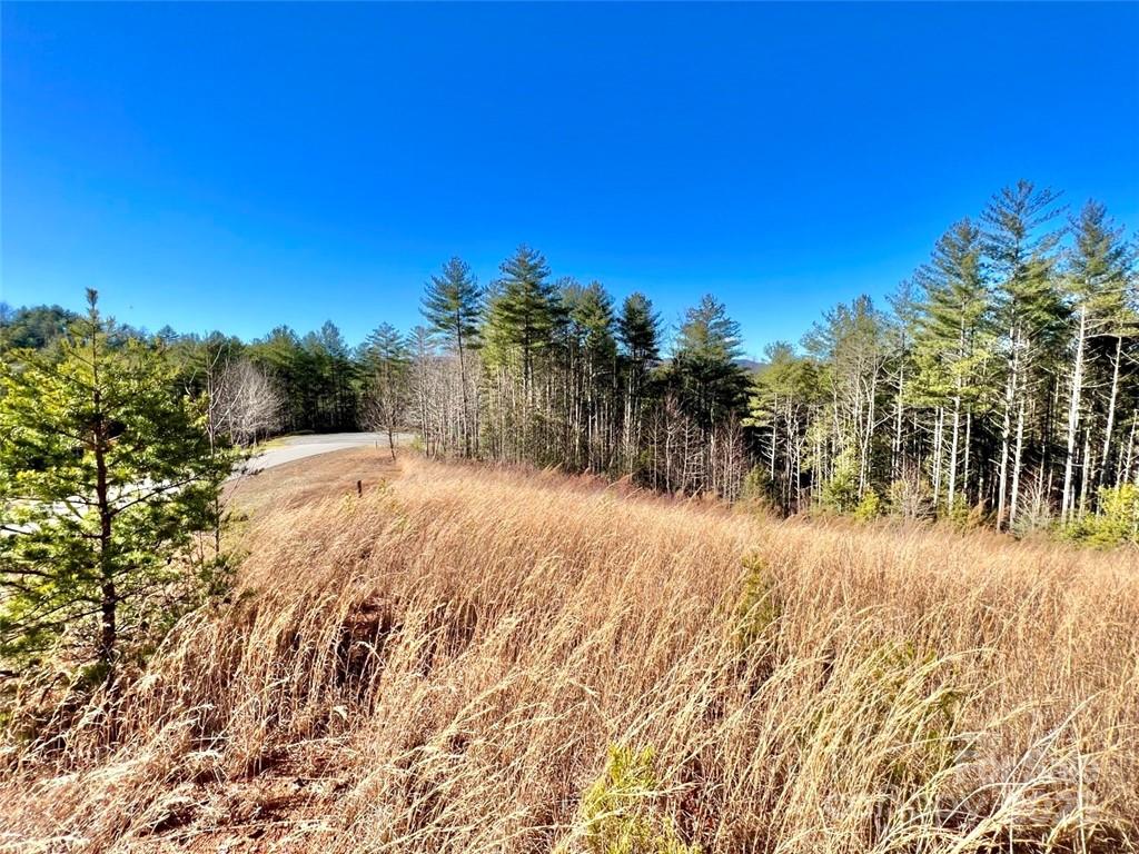 1.85 acres Lot 154 Rocky Falls Lane 154