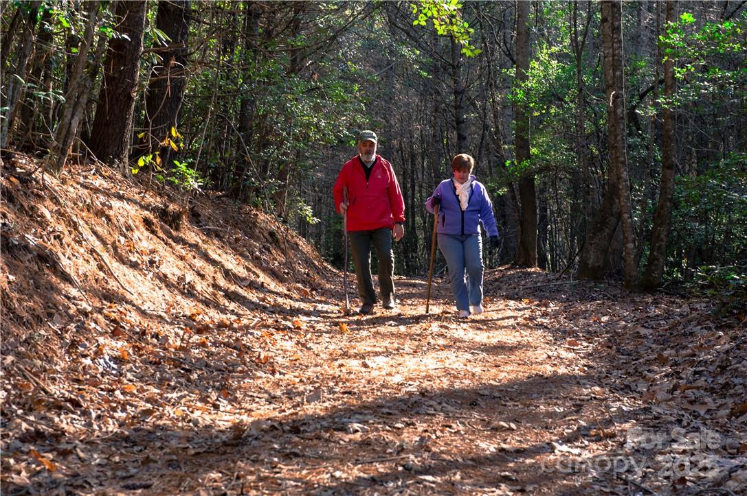 The Coves Mountain River Club - Land