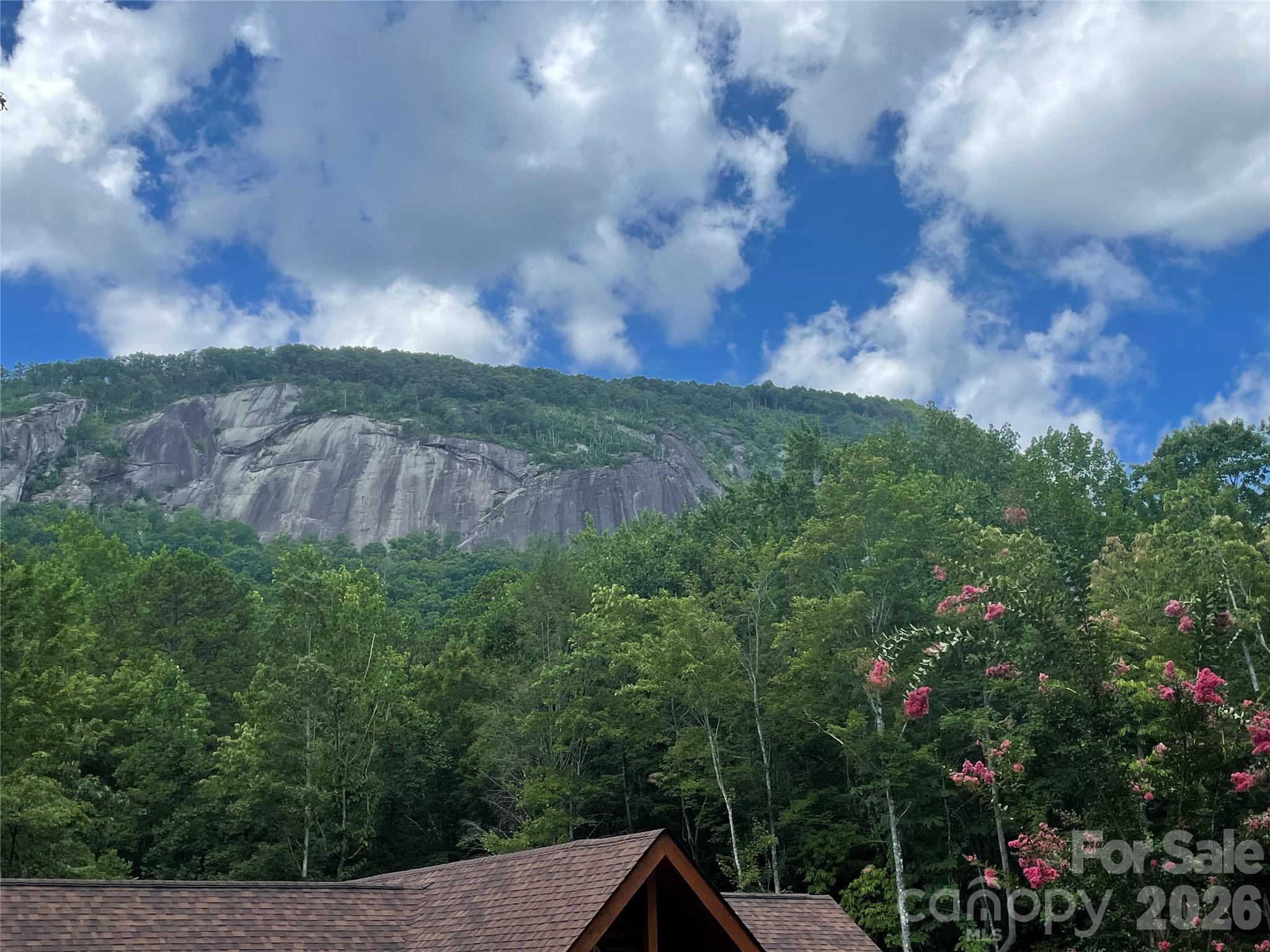 Photo 1 of 5 — 282 Quail Ridge Road, Lake Lure, NC 28746